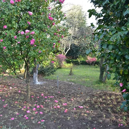 Quinta D'avo Amelia Отель типа 