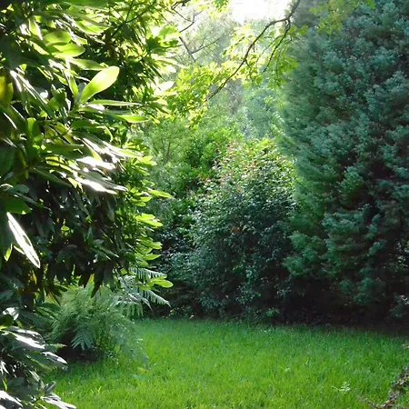 Bed & Breakfast Quinta D'avo Amelia Alquerubim