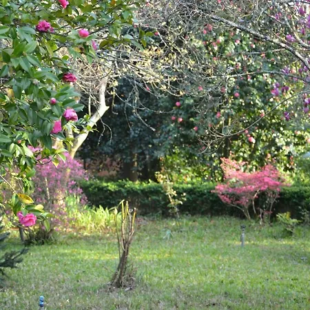 Bed & Breakfast Quinta D'avo Amelia Alquerubim