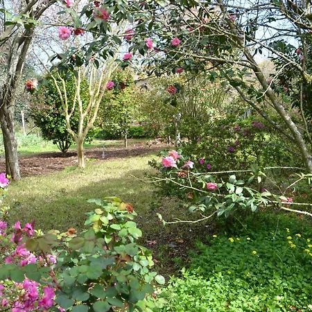 Quinta D'avo Amelia 4*