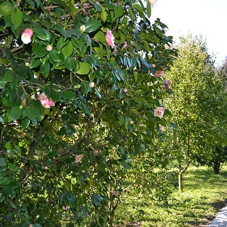 Quinta D'avo Amelia 4*