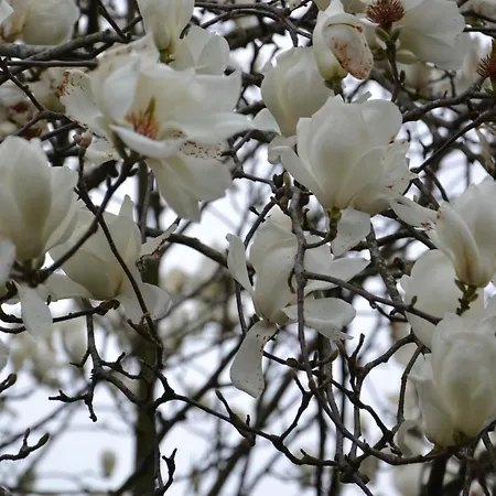 Quinta D'avo Amelia Bed & Breakfast