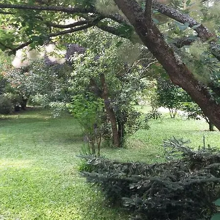 B&B Quinta D'avo Amelia