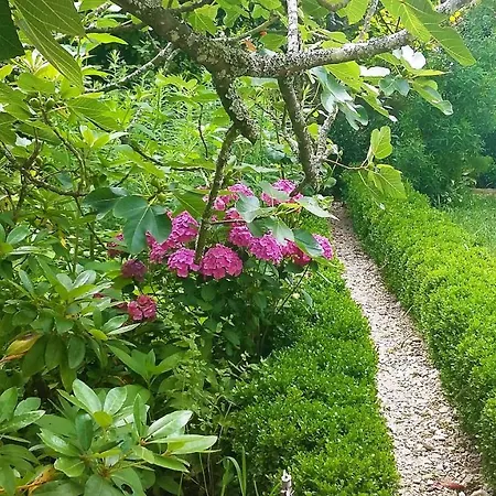 Quinta D'avo Amelia 4*