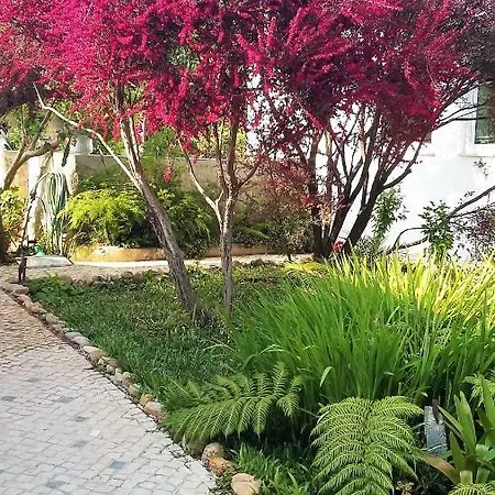 Quinta D'avo Amelia B&B Alquerubim