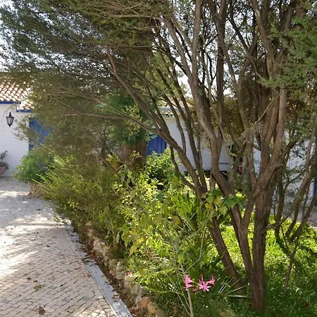 Bed & Breakfast Quinta D'avo Amelia