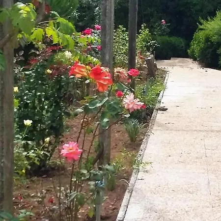 B&B Quinta D'avo Amelia