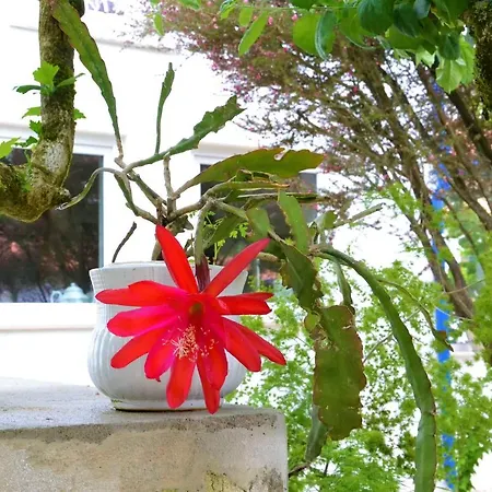 Quinta D'avo Amelia 4*