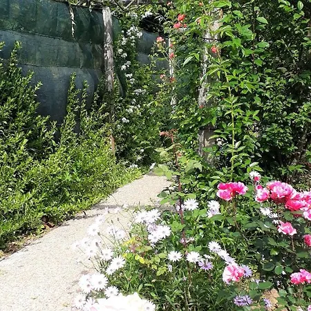 Bed & Breakfast Quinta D'avo Amelia 4*