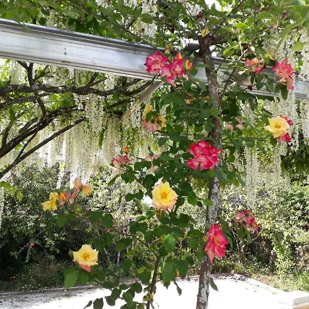 Bed & Breakfast Quinta D'avo Amelia *