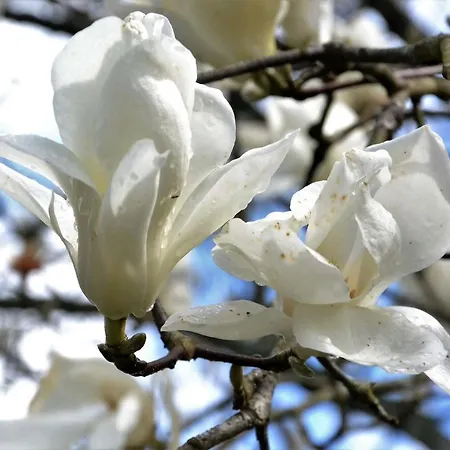 Quinta D'avo Amelia 4*