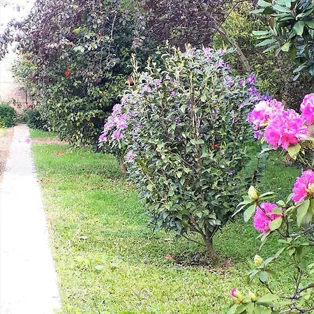 Bed & Breakfast Quinta D'avo Amelia Alquerubim