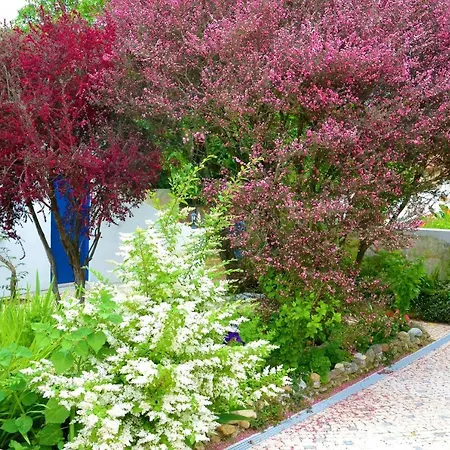 Quinta D'avo Amelia Bed & Breakfast