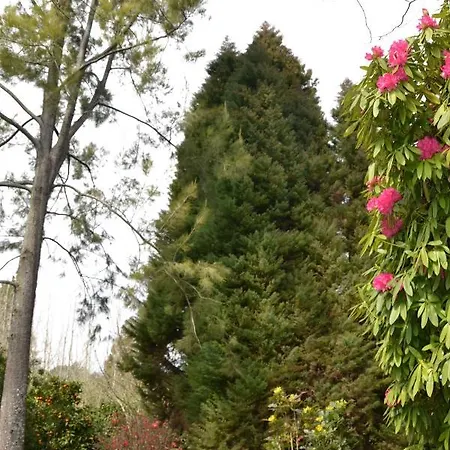 Quinta D'avo Amelia Frühstückspension 4*