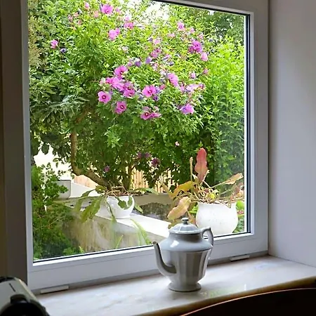 Quinta D'avo Amelia 4* Alquerubim