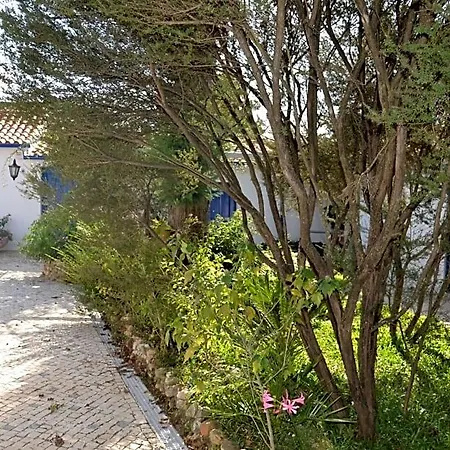 Quinta D'avo Amelia