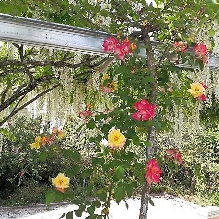 Quinta D'avo Amelia 4* Alquerubim