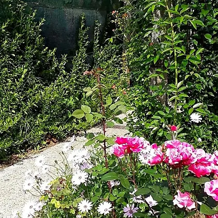 Quinta D'avo Amelia