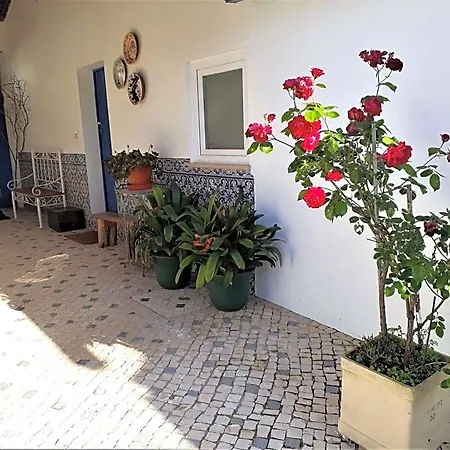 Bed & Breakfast Quinta D'avo Amelia 4*