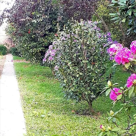 Quinta D'avo Amelia