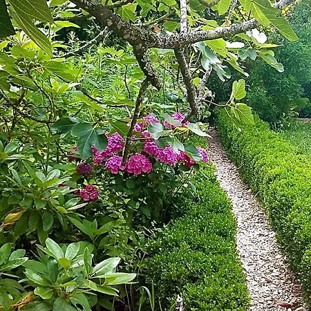 Bed & Breakfast Quinta D'avo Amelia Alquerubim