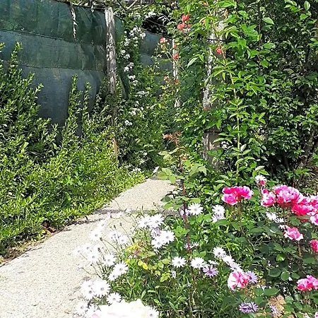 Quinta D'avo Amelia Bed & Breakfast Alquerubim