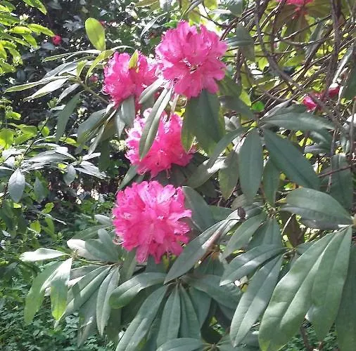 Quinta D'avo Amelia Bed & Breakfast