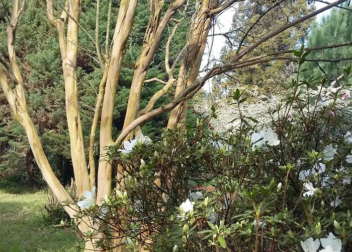 Quinta D'avo Amelia Bed & Breakfast Alquerubim