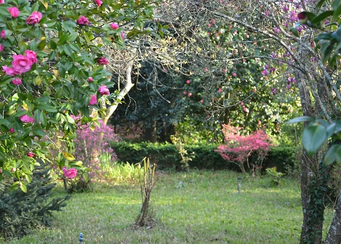 Bed & Breakfast Quinta D'avo Amelia Alquerubim