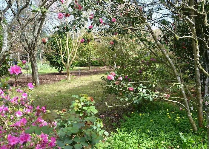 Quinta D'avo Amelia 4*