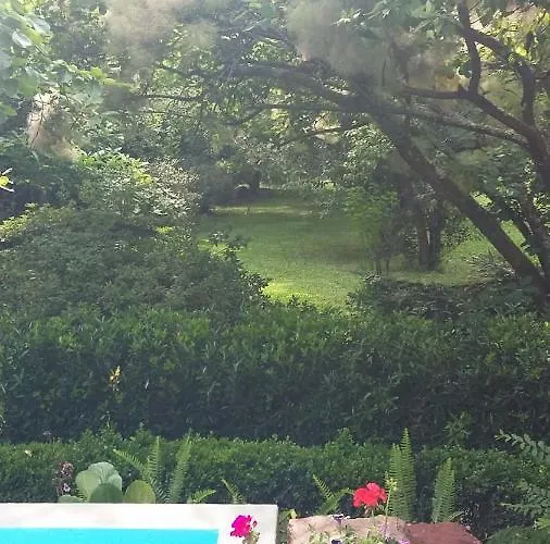 Quinta D'avo Amelia Alquerubim