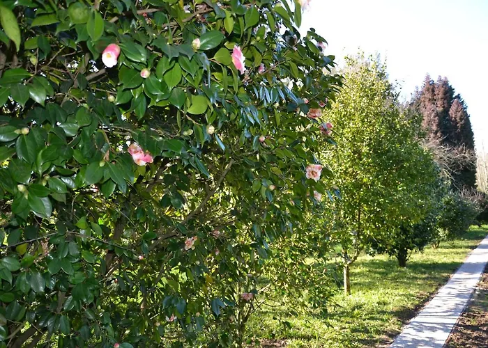 Quinta D'avo Amelia 4*