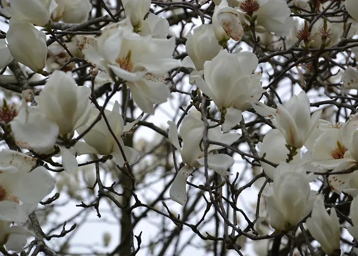 Quinta D'avo Amelia Bed & Breakfast