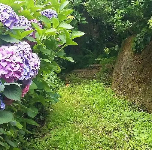 Bed & Breakfast Quinta D'avo Amelia Alquerubim