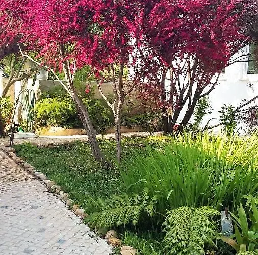 Quinta D'avo Amelia Bed & Breakfast Alquerubim