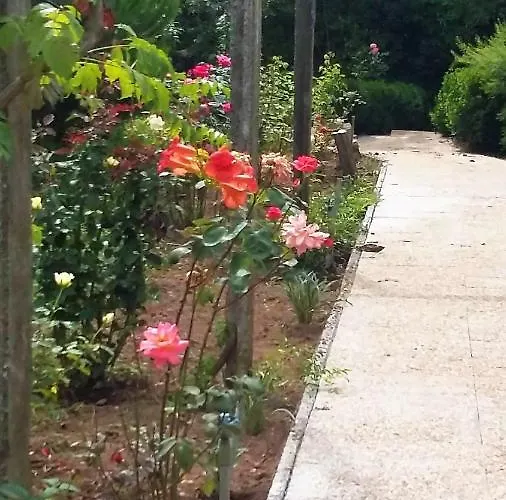 Bed & Breakfast Quinta D'avo Amelia