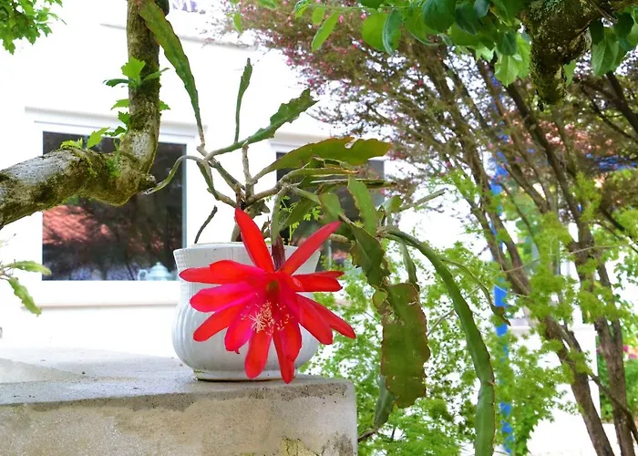 Quinta D'avo Amelia 4*