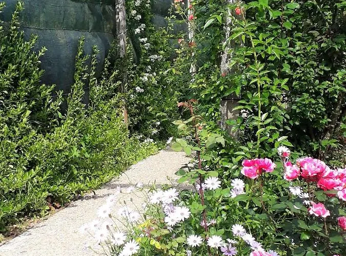 Bed & Breakfast Quinta D'avo Amelia 4*