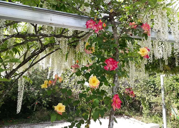 Bed & Breakfast Quinta D'avo Amelia 4*