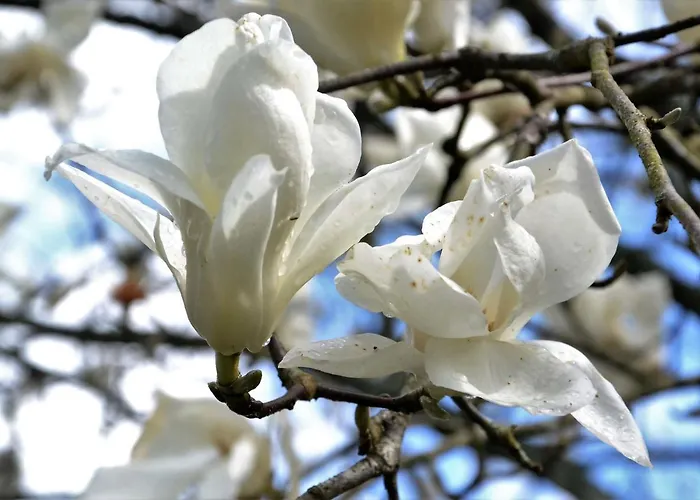 Quinta D'avo Amelia 4*