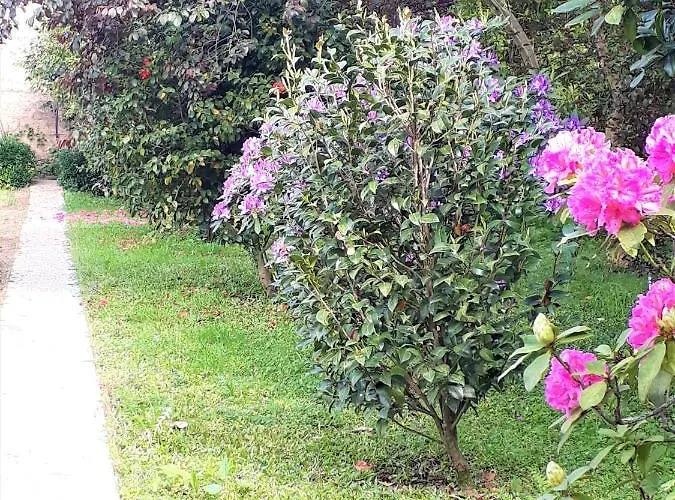 Bed & Breakfast Quinta D'avo Amelia Alquerubim