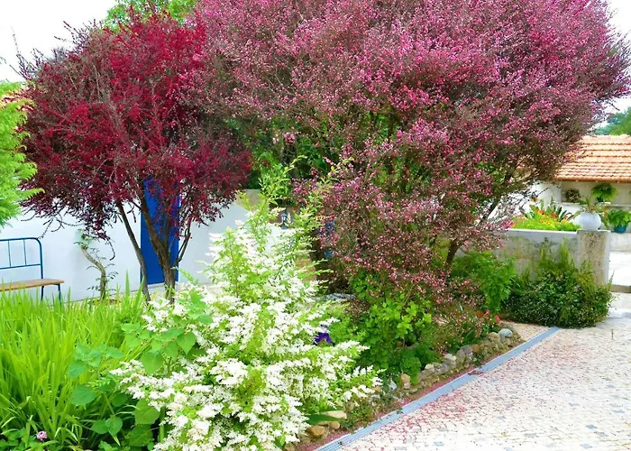 Quinta D'avo Amelia Bed & Breakfast