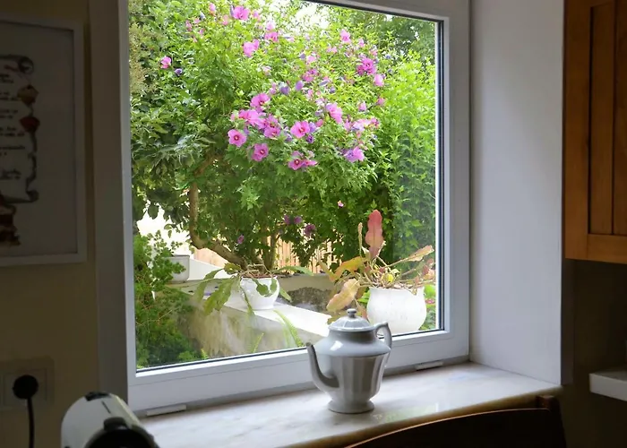 Quinta D'avo Amelia Bed & Breakfast Alquerubim