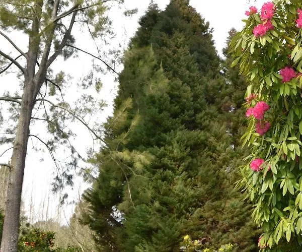 Quinta D'avo Amelia Frühstückspension 4*