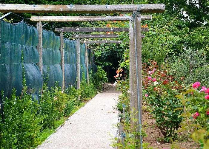 Bed & Breakfast Quinta D'avo Amelia Alquerubim