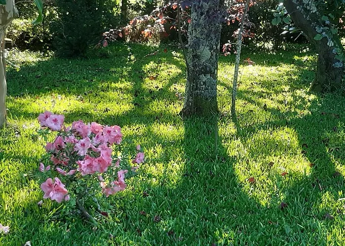 Quinta D'avo Amelia Bed & Breakfast 4*