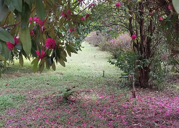 Quinta D'avo Amelia Bed & Breakfast 4*